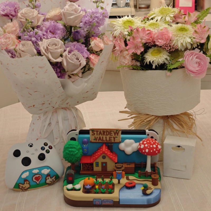 Switch Dock Stardew Valley Far – Gaming Console In Bewertung und Preis